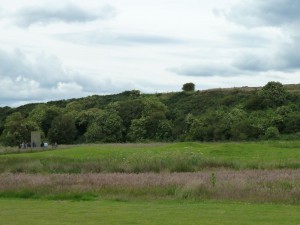 Chapel site and Stone, Hilton