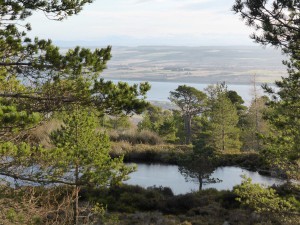 Fyrish lochan 1