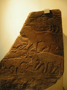 Calf Stone,Tarbat Old Church Museum